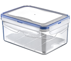 4.3 LT RECTANGLE AIRTIGHT FOOD SAVER BOX