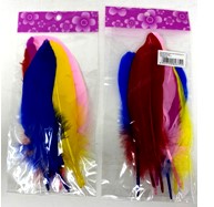 FEATHERS (10PCS),25*12CM