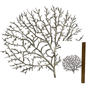 12PC TABLE MAT-SIZE: 10*6"