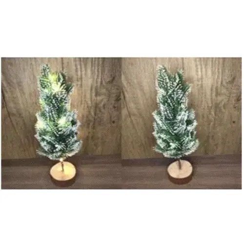 LIGHTING CHRISTMAS TREE