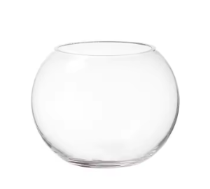 SMALL FISH BOWL