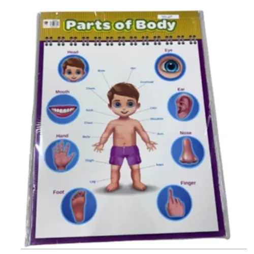 POSTER - PARTS OF THE BODY