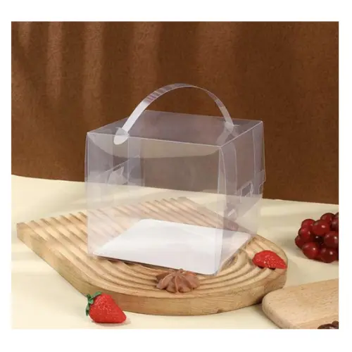 10PCS PLASTIC CAKE BOX 