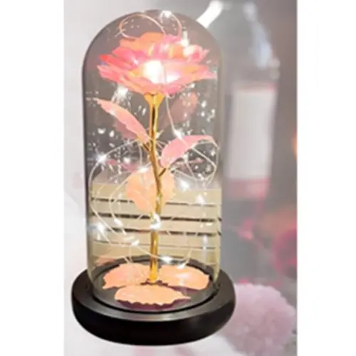 ETERNAL ROSE W LIGHT CREAM, PINK 