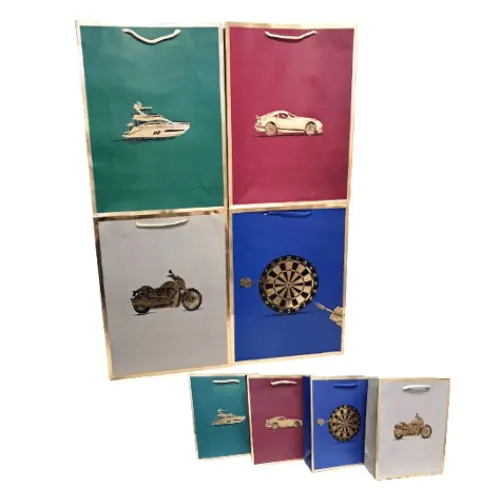  12" MALE GIFT BAGS 12PCS