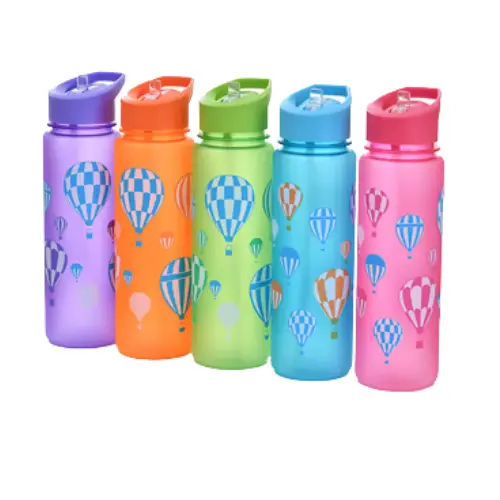 8.5" WATER BOTTLE ASSR (750ML)