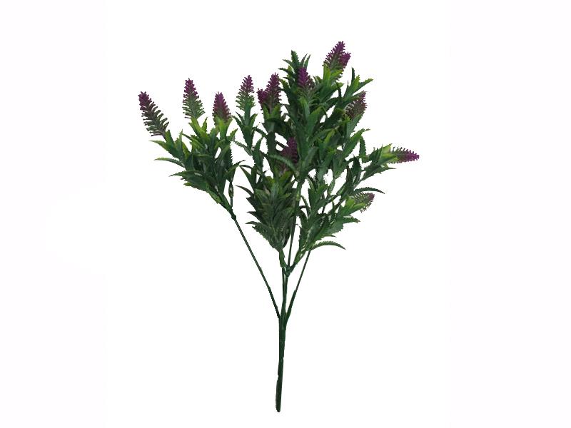 HAWAIIAN CONE LILY FILLER