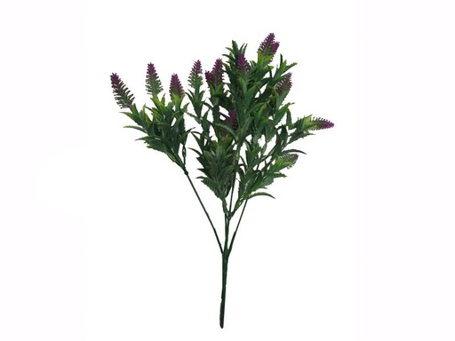 [127836] HAWAIIAN CONE LILY FILLER