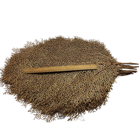 [155505] 12PC TABLE MAT-SIZE: 23*15" 