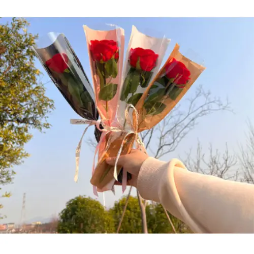 [32890] 50PCS SINGLE SLEEVE (5*2*17")