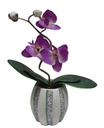 [123394] ORCHID IN VASE - CLOSED BOX (7 x 26CM)